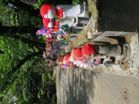 IMG_0465.JPG